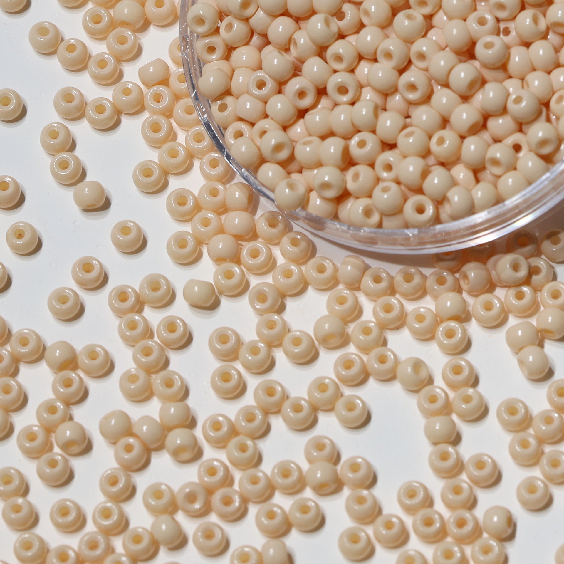 e4955f49-a5e2-41b9-82de-9aad85eb4ac6