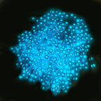 ddce3495-85b6-4c37-8264-04ba67711191