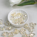 00c82469-ca3f-484b-b1d4-9e9bf53c1c9d