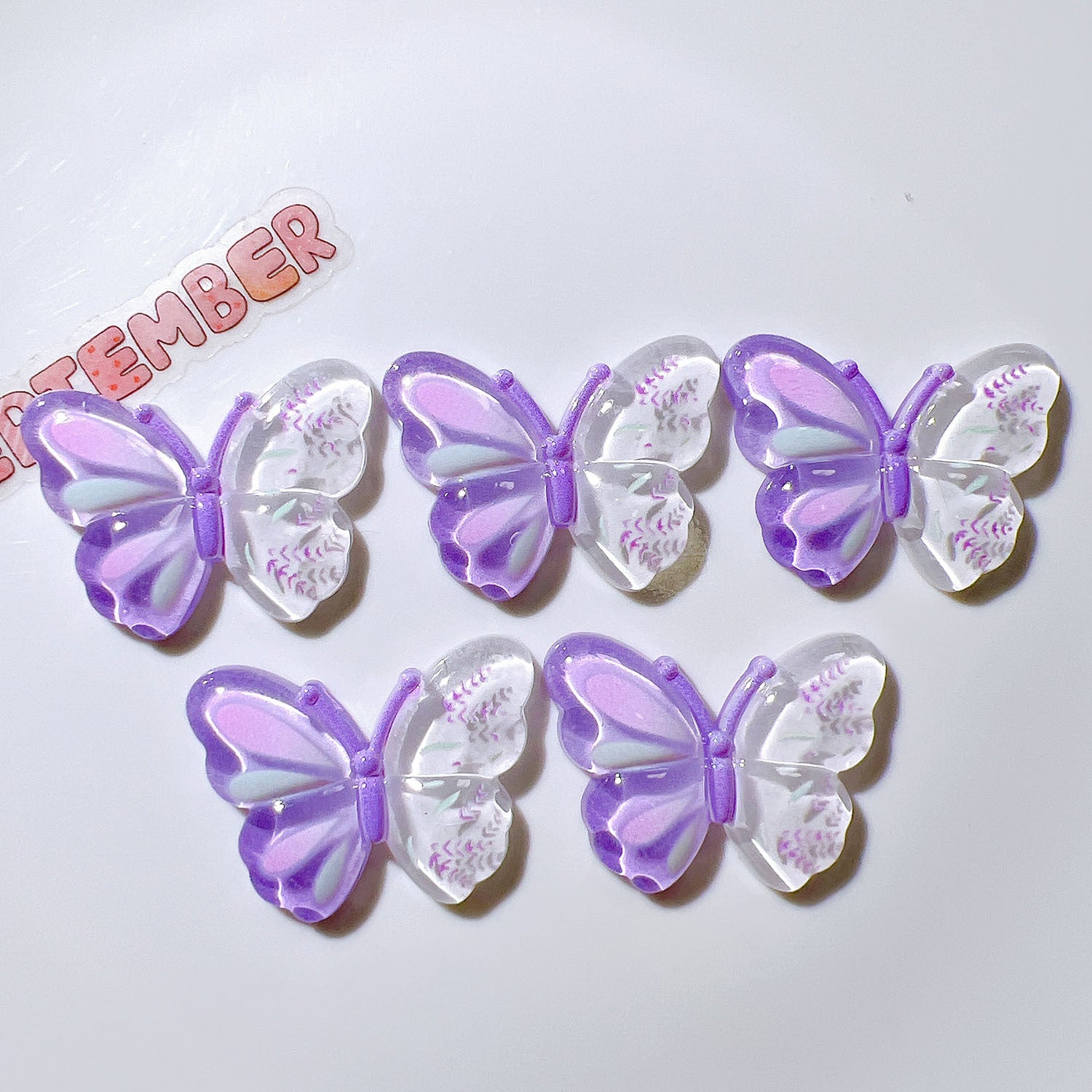 e6e6d89c-3b89-4566-8d91-6fd921b8a4f1