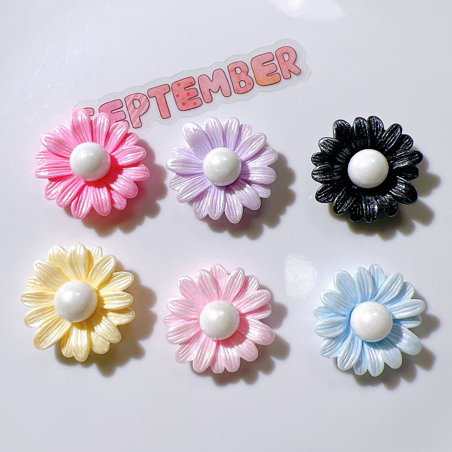 fe3e9dff-37a5-48d9-a773-bc8a87d8cfc6