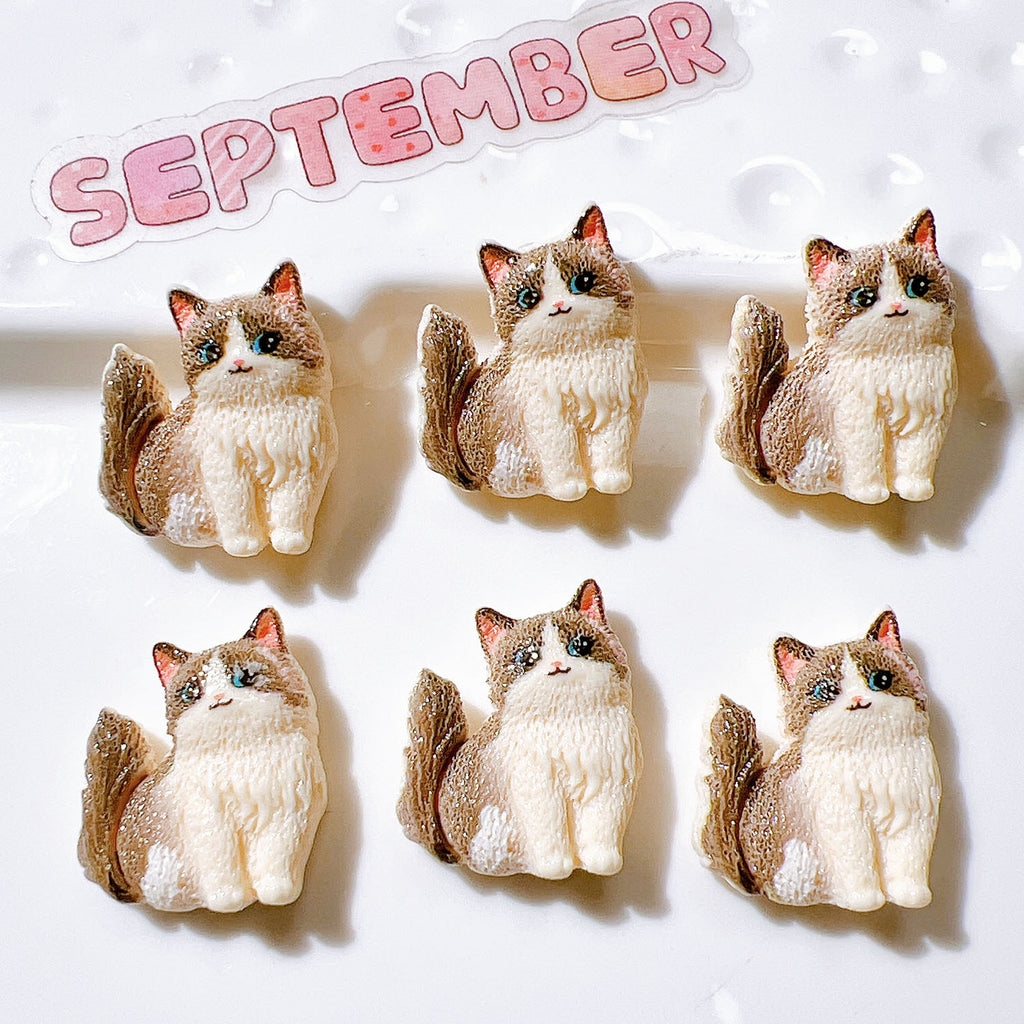 1702b445-b8a9-4d2e-9a5b-ac5ba5951af5