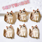 1702b445-b8a9-4d2e-9a5b-ac5ba5951af5