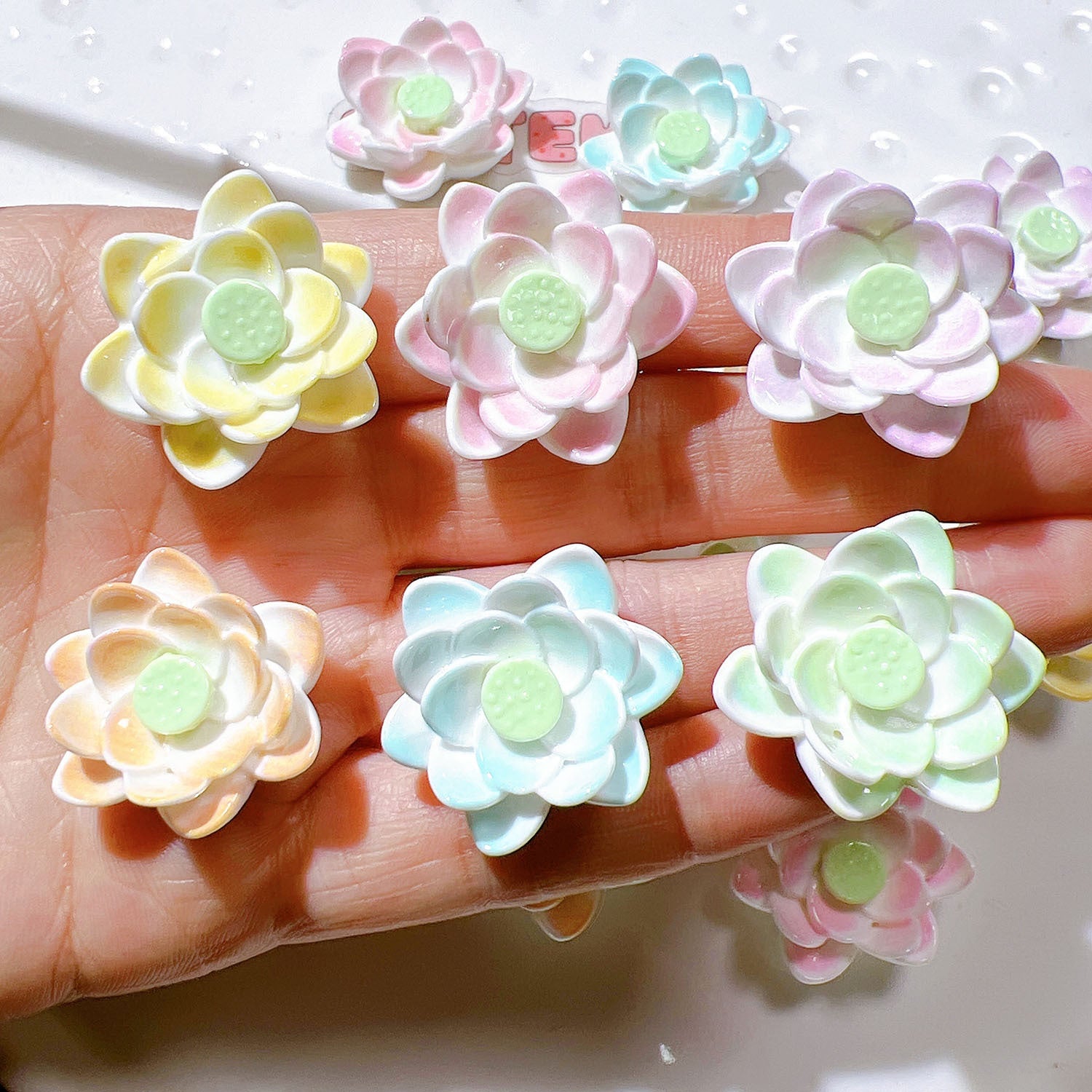 1b9c8820-7c8d-407c-9449-1787c5d9e24a Main image