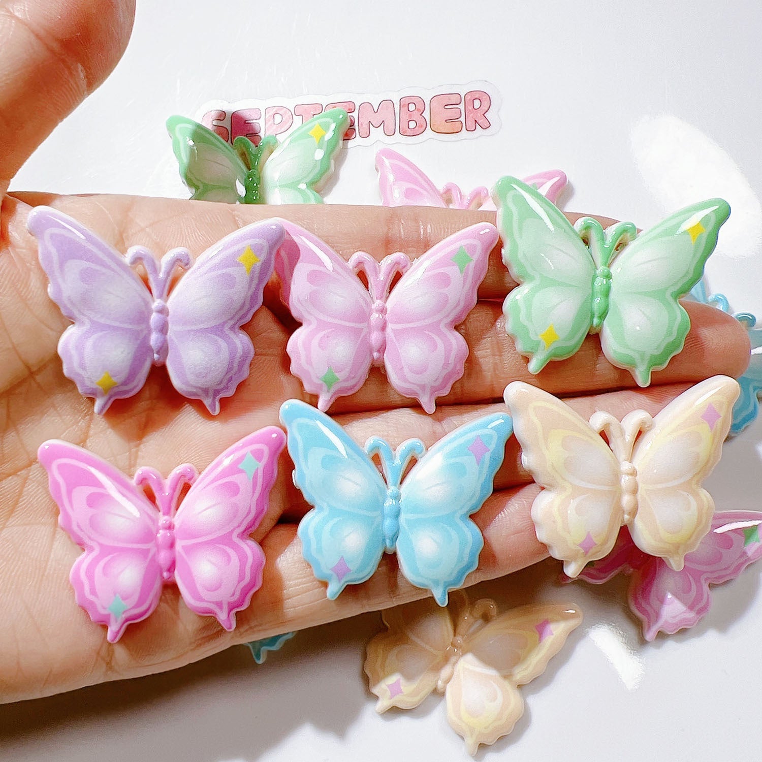 15951ef6-3d96-4695-b63c-1a95f5ef5762 Main image