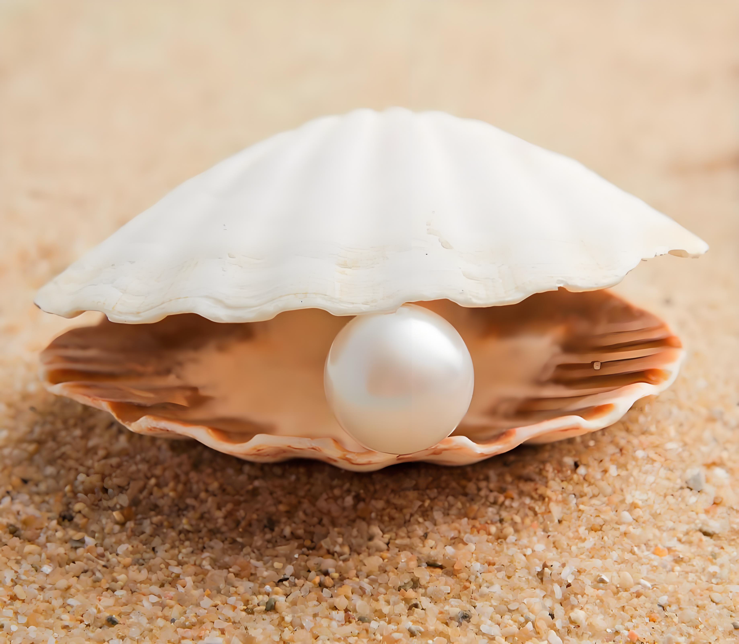 Live: Coastal Pearl Hunt – Crack Oysters for Shiny Treasures! ✨