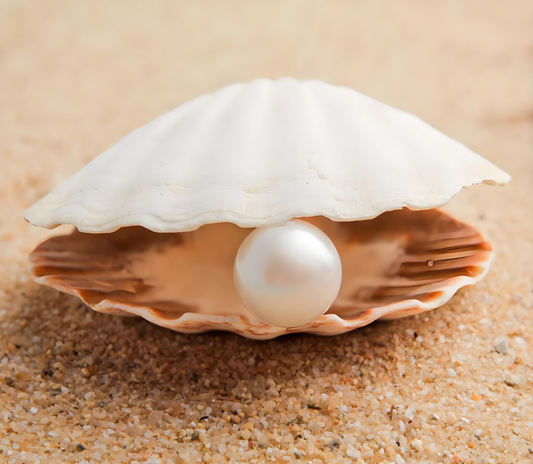 Live: Coastal Pearl Hunt – Crack Oysters for Shiny Treasures! ✨