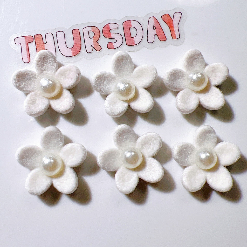 aa0b054e-873b-41b5-9b8f-f1f5113d7503