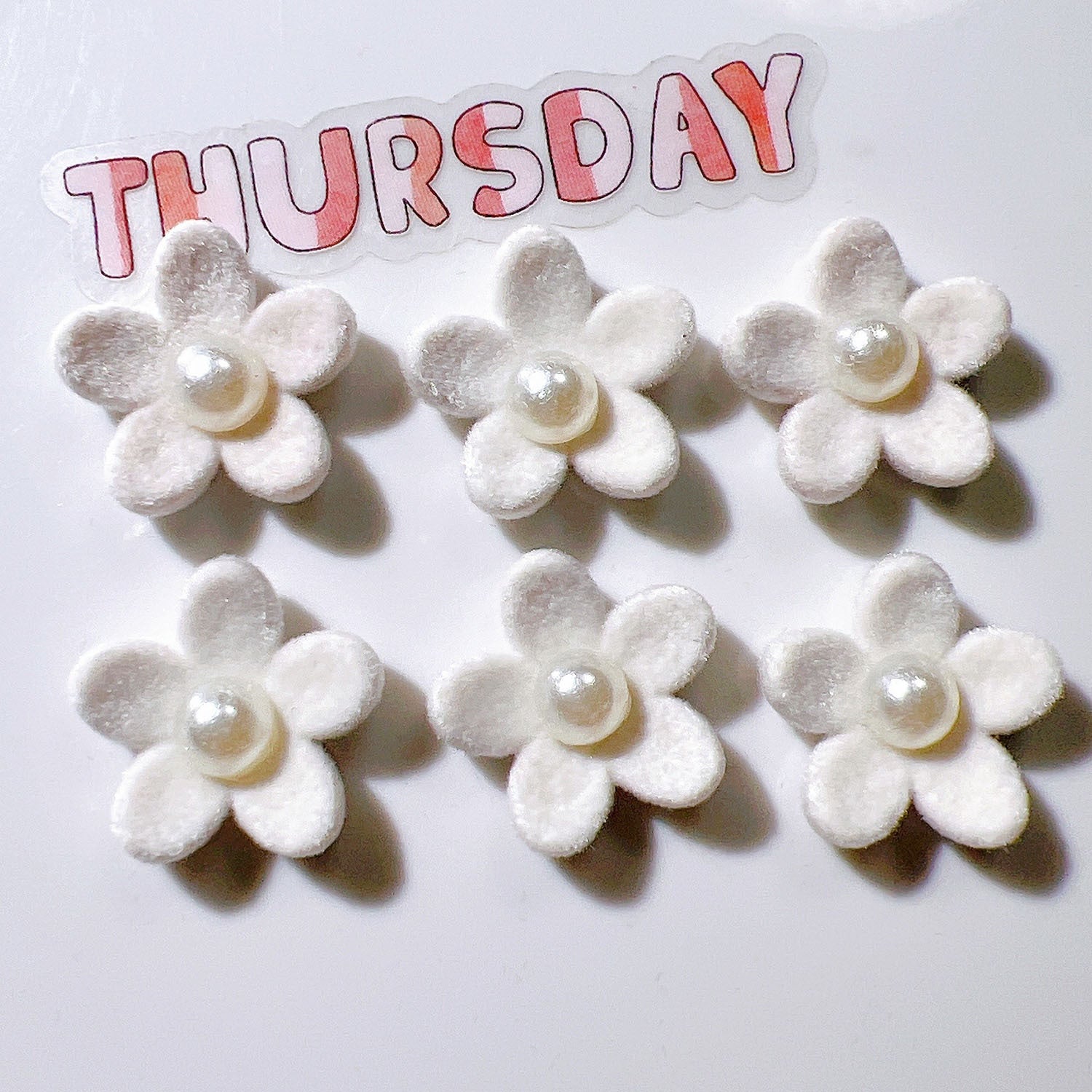 aa0b054e-873b-41b5-9b8f-f1f5113d7503