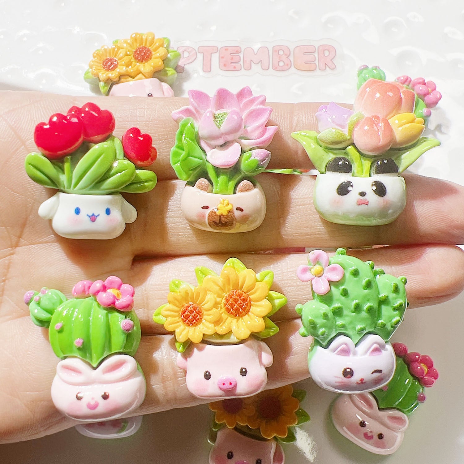 e6375968-6958-4fd9-aed3-9dd998850899 Main image