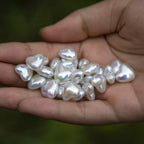 f0b3fbf1-2d93-4eaa-aba7-c7ef957509b6