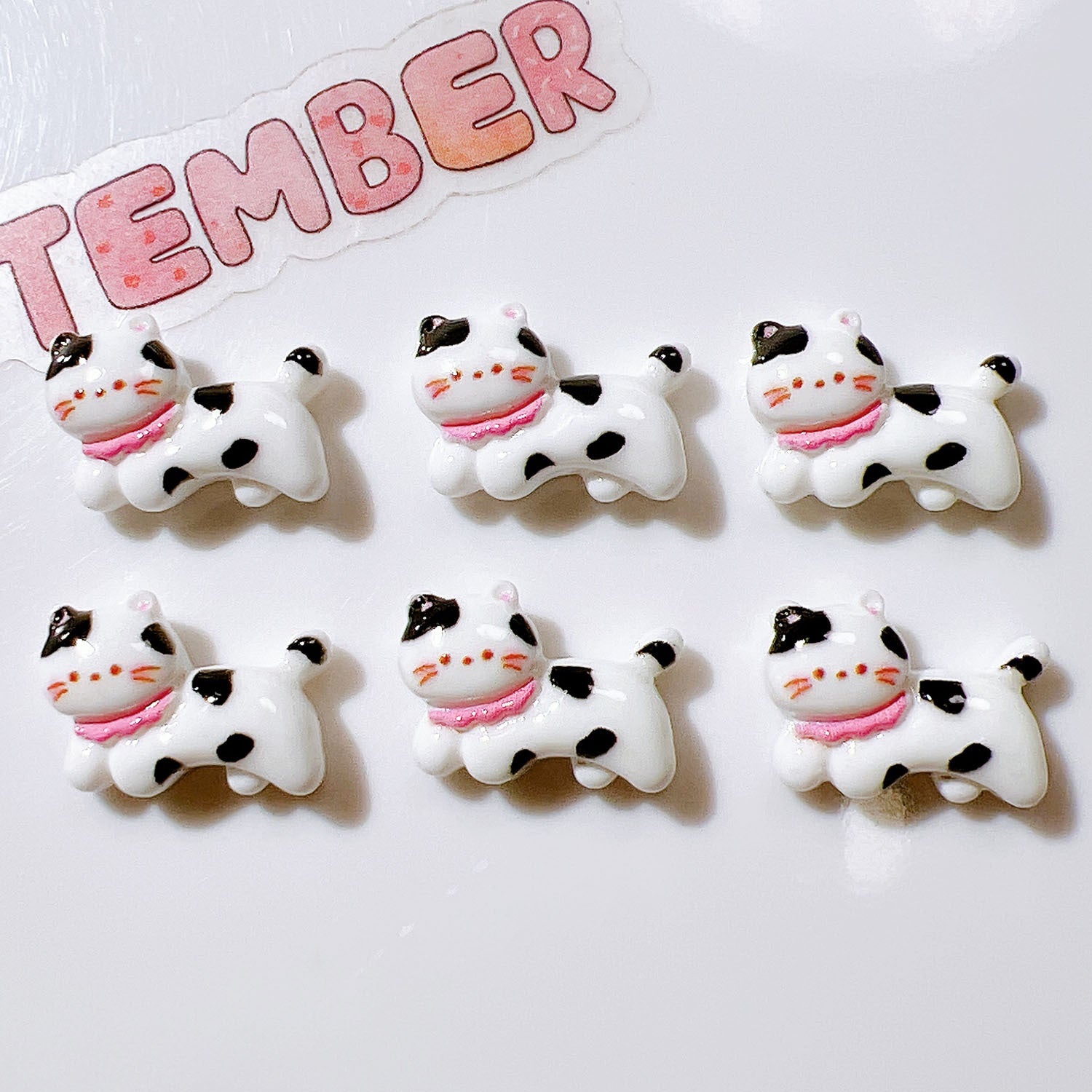 81e15b8a-7a75-4725-943d-159f92b3bd3b