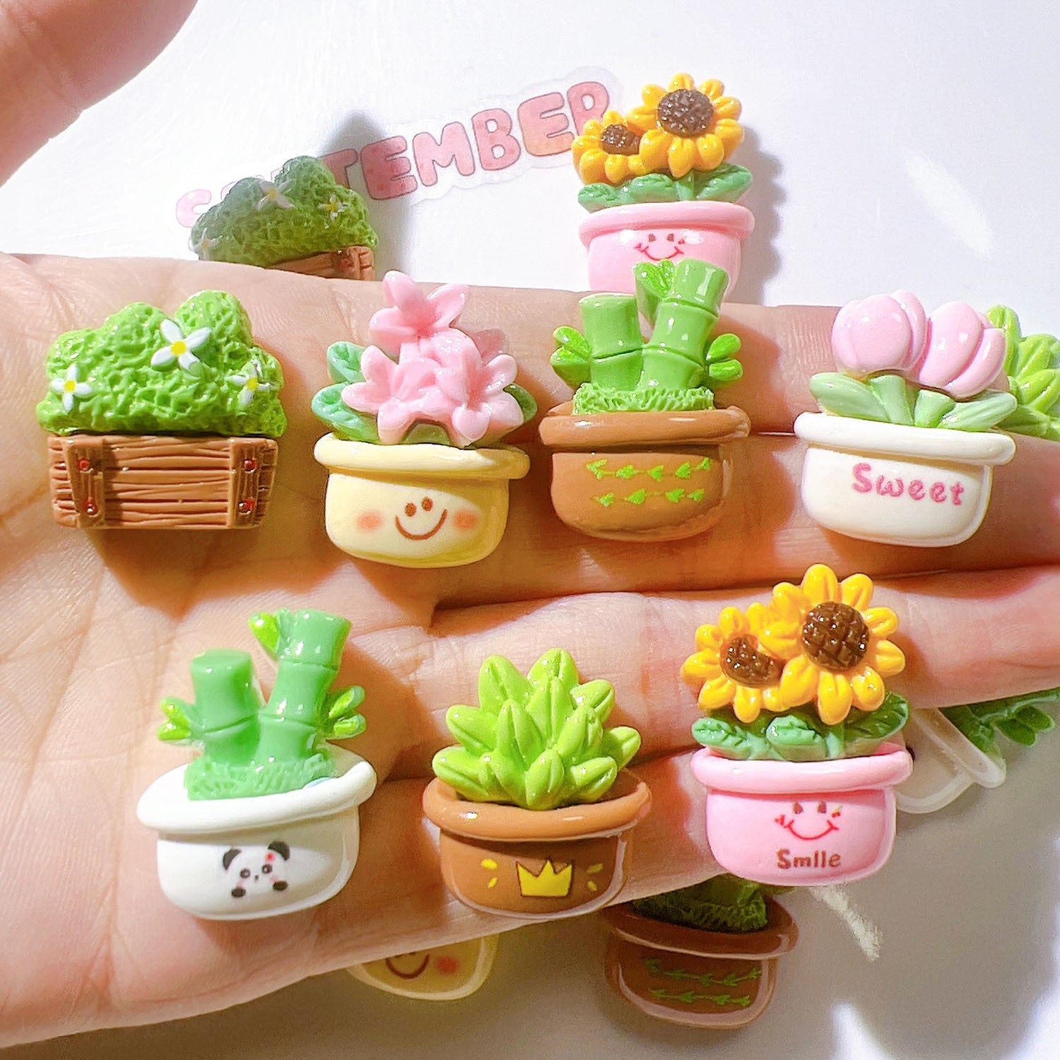 b351732c-ff88-4aa4-bf94-708896f25b0b Main image