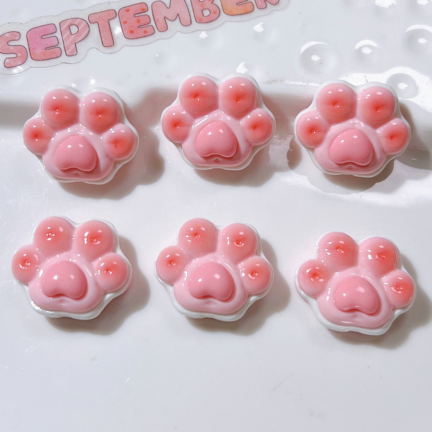 973fa717-cb6e-4123-8da6-a687f8687c0c