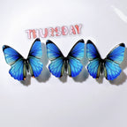 a7928d84-47be-4755-8c56-458f2a854657