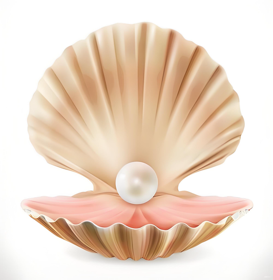 Live3: Coastal Pearl Hunt – Crack Oysters for Shiny Treasures! ✨